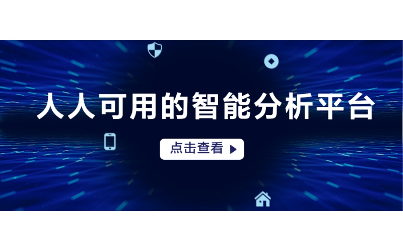 鲸智分析平台