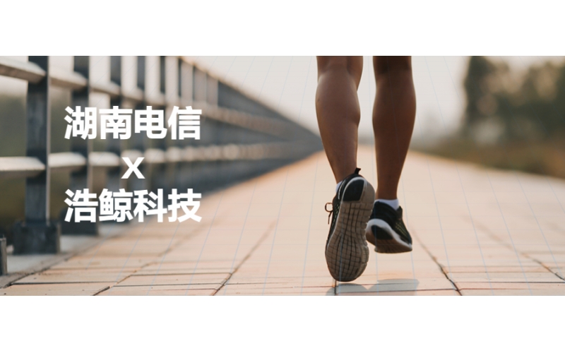 湖南电信携手浩鲸科技打造营销沙盘，跑出一线经营“超速度”！